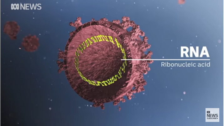 Bagaimana Cara Virus SAR-Co2 Menginfeksi Manusia dan Menyebabkan Covid-19